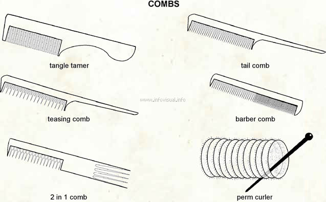 Combs  (Visual Dictionary)